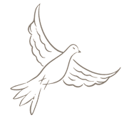 dove-left